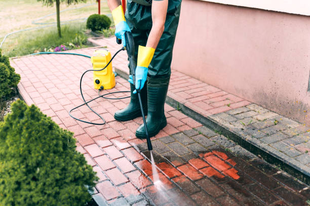 Best Local Pressure Washing Services  in Mount Morris, IL