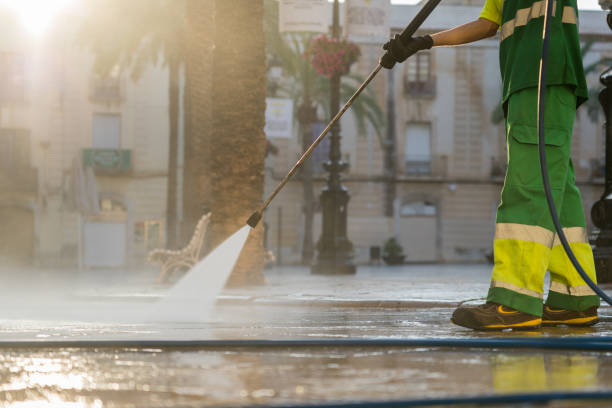Best Pressure Washing Services for Businesses  in Mount Morris, IL