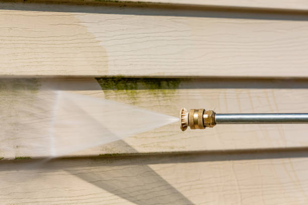 Best Deck Cleaning Services  in Mount Morris, IL