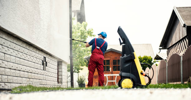 Best Power Washing Near Me  in Mount Morris, IL